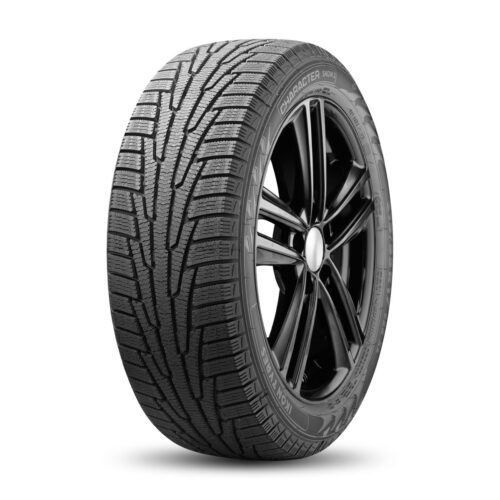 Ikon Tyres 195/55/15 R 89 Ikon Character Snow 2 XL